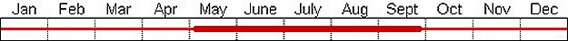 Seasonal status from Fraser Valley Birding records